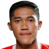D. Mardiyanto