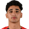 M. Gamal