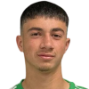 E. Amir