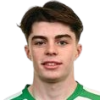 J. McGlone