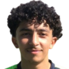 Y. Hamoutahar
