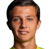 M. Simion