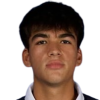 N. Vargas
