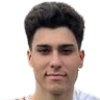 T. Ozdemir