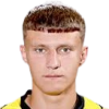 B. Levytskyi
