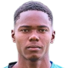 N. Parra