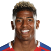P. van Aanholt