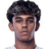 A. Karim