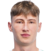 D. Malashkevich