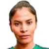 D. Pinto