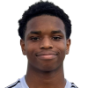 J. Adetiba