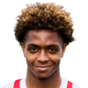 D. Bobson