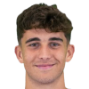 D. Traini