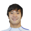 M. Shakhmetov