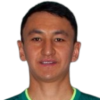 N. Salaydin