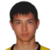 N. Sarsenov