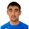 I. Amirseitov
