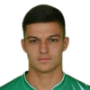 D. Rakic