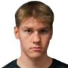 V. Hanninen