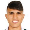 V. dos Santos Ribeiro
