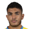 W. Jarmouni