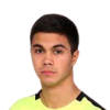 D. Golovic