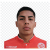 P. Galvan