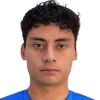 E. A. Montiel Herrera