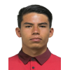 H. Mendoza