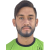 D. Navarro