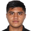 P. Santos