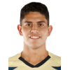 C. Vargas