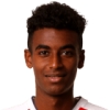 G. Zelalem