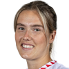 T. Groenendijk