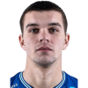 V. Stepanenko