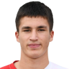 M. Majstorovic