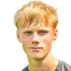 M. Paulsen
