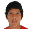 P. Gavilan