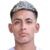F. Fernandez