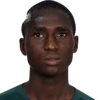 M. Opeyemi