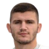T. Melekestsev