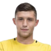N. Rybikov