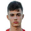 N. Mituljikic