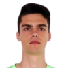 S. Bjelica