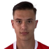 V. Zivojinovic