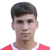 N. Vukic