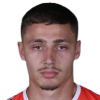 N. Glisic