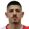 I. Vukcevic