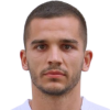 V. Vitorovic