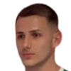 M. Mladenovic